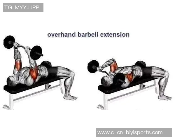 单臂哑铃臂屈伸训练技巧与注意事项全面解析